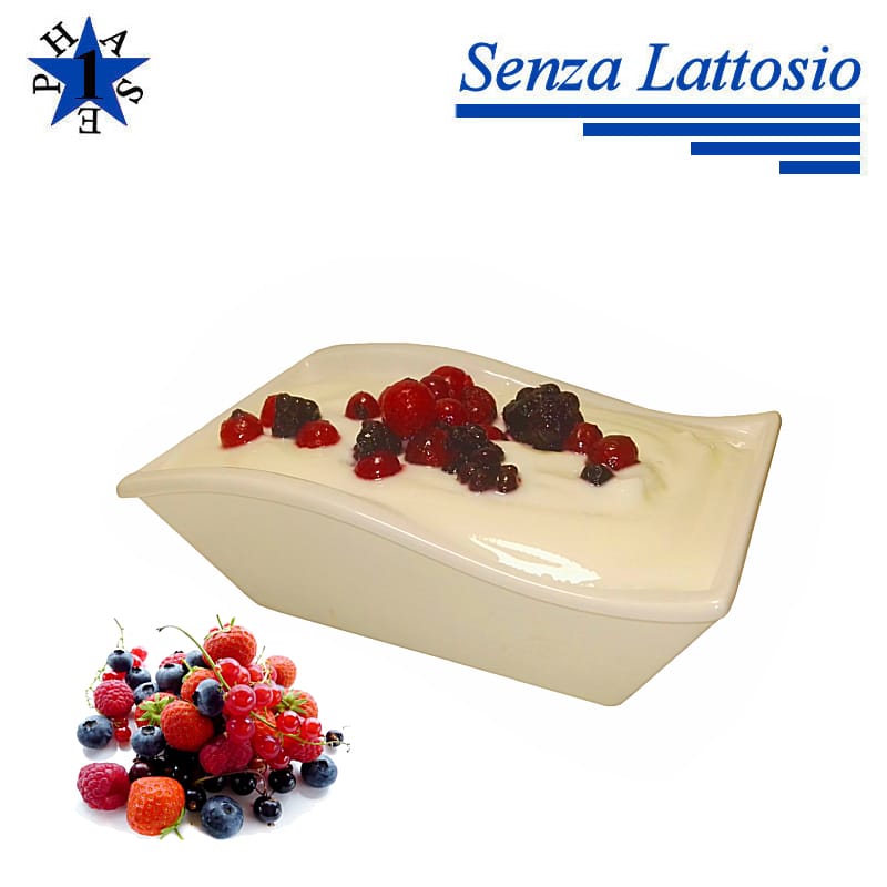 Yogurt Proteico Frutti di Bosco Senza Lattosio FASE 1 – 7 Buste da 26g